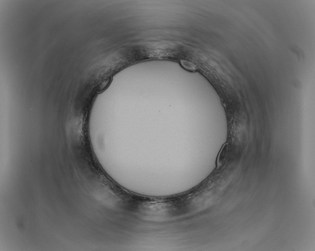 X0000112050219200908251005