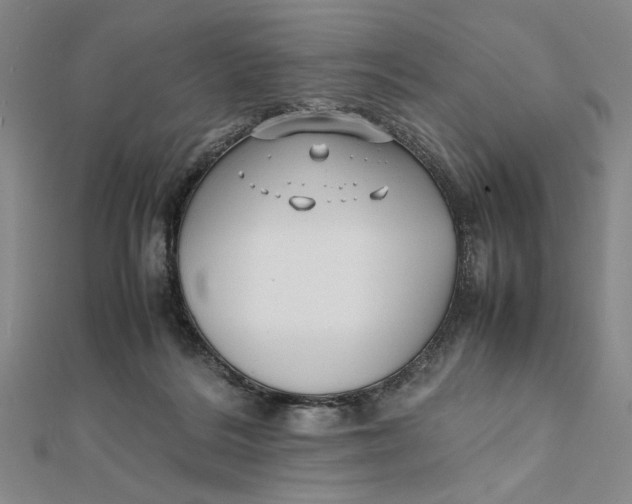 X0000112050220200908251005