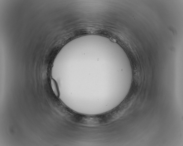 X0000112050221200908251005