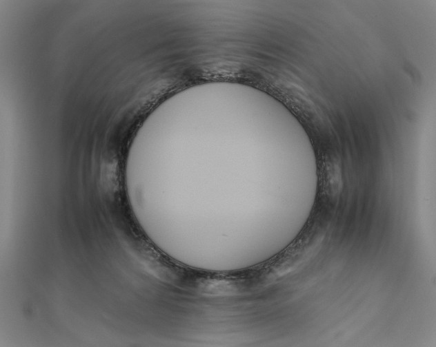 X0000112050224200908251005