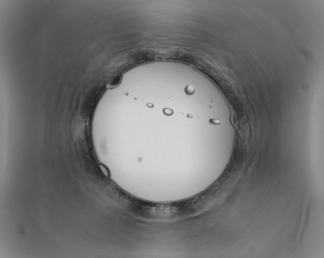 X0000112050225200908251005