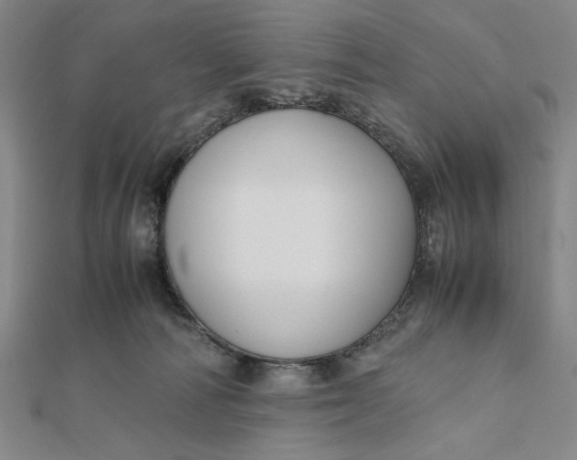 X0000112050226200908251005