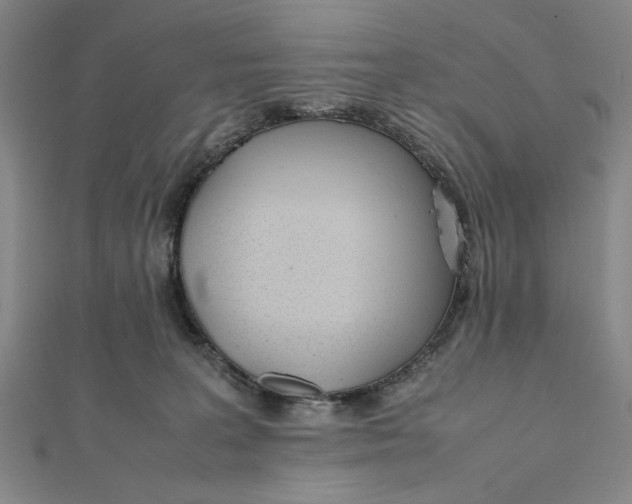 X0000112050227200908251005