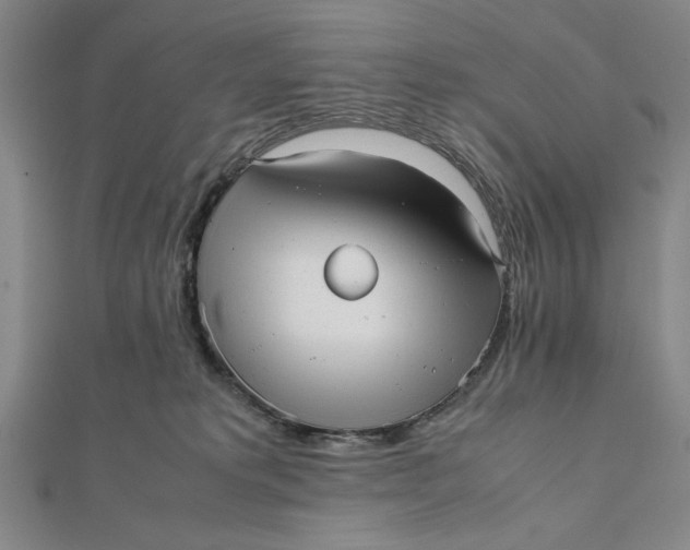 X0000112050229200908251005