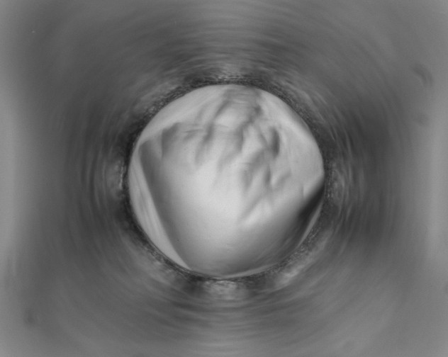 X0000112050230200908251005