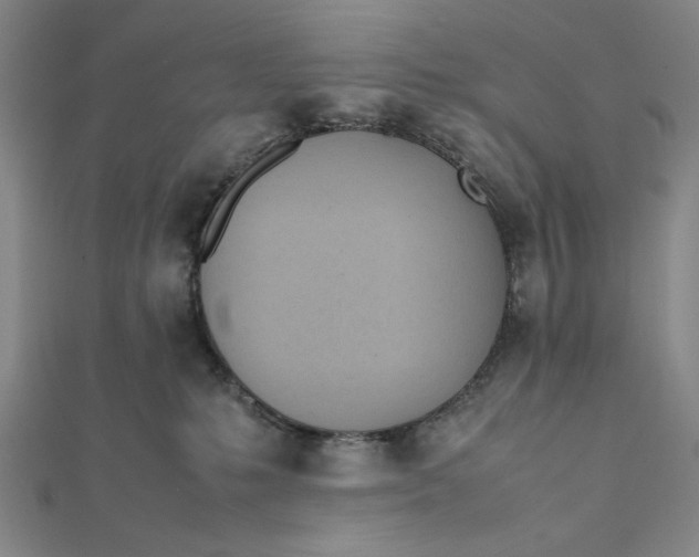 X0000112050231200908251005