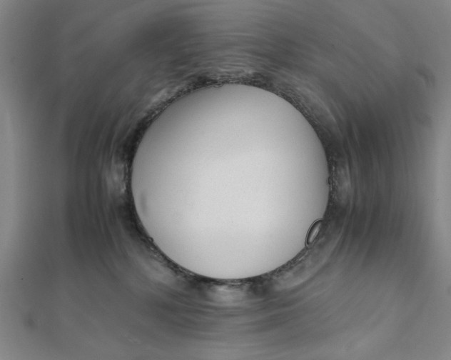 X0000112050232200908251005