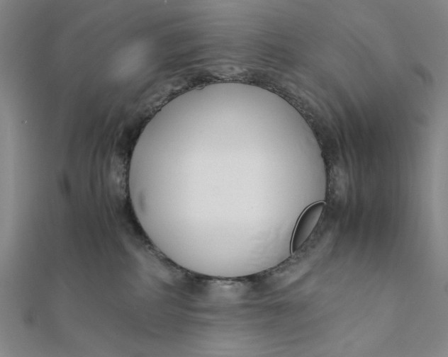 X0000112050234200908251005