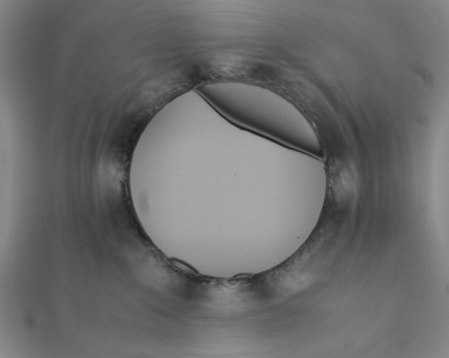 X0000112050235200908251005