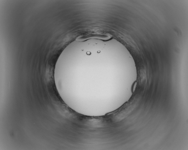 X0000112050236200908251005