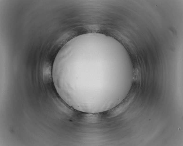 X0000112050238200908251005