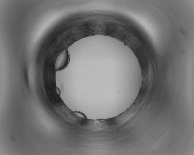 X0000112050239200908251005