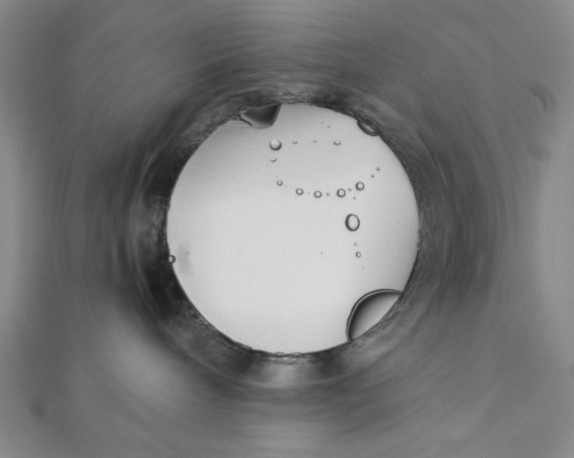 X0000112050240200908251005