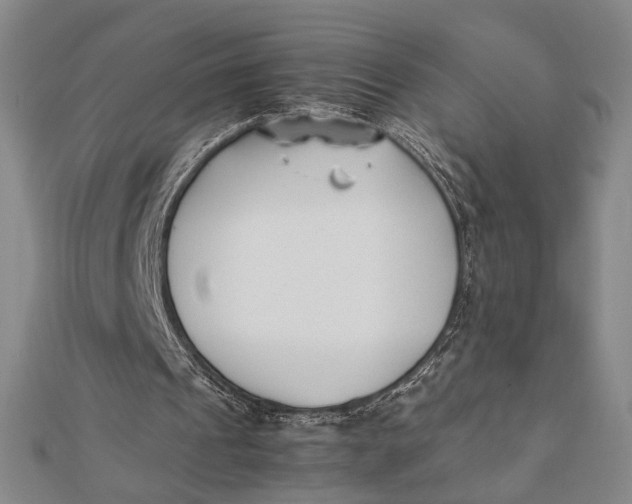 X0000112050241200908251005