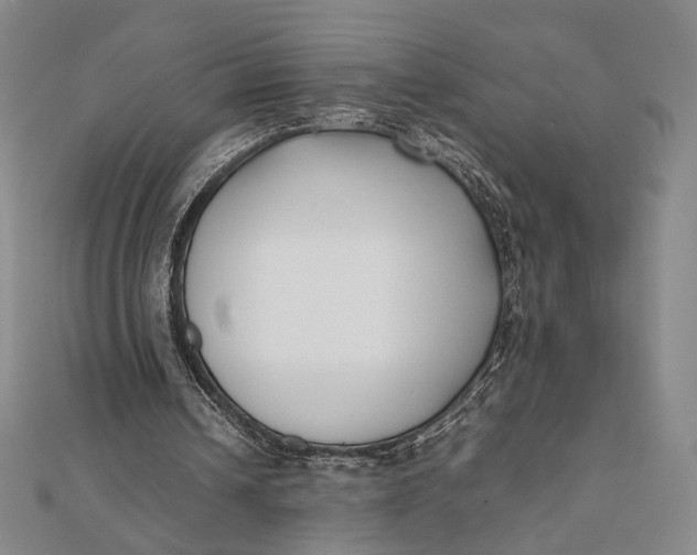 X0000112050242200908251005