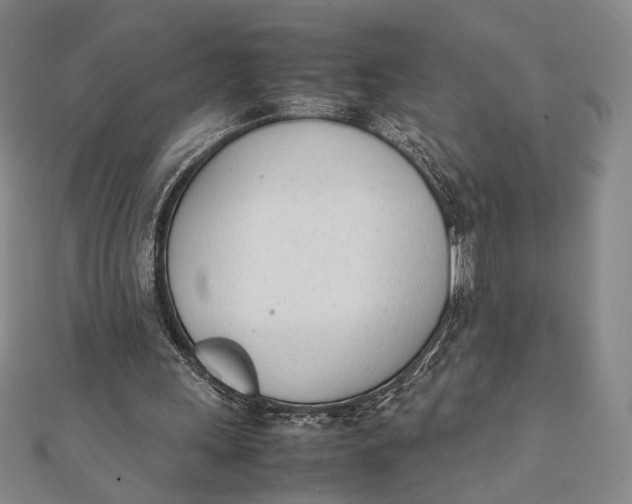 X0000112050243200908251005