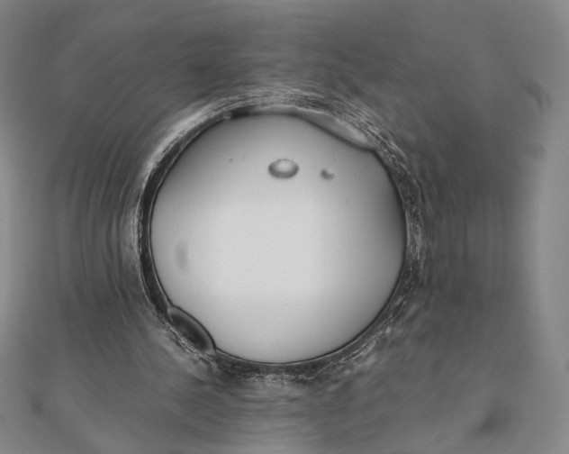 X0000112050244200908251005