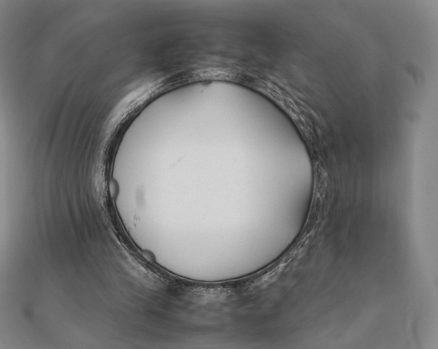 X0000112050245200908251005