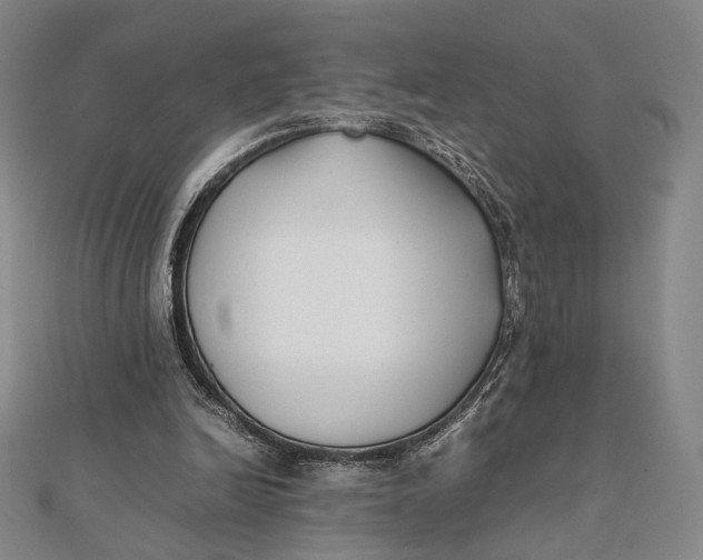 X0000112050246200908251005