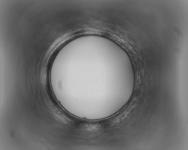 X0000112050247200908251005