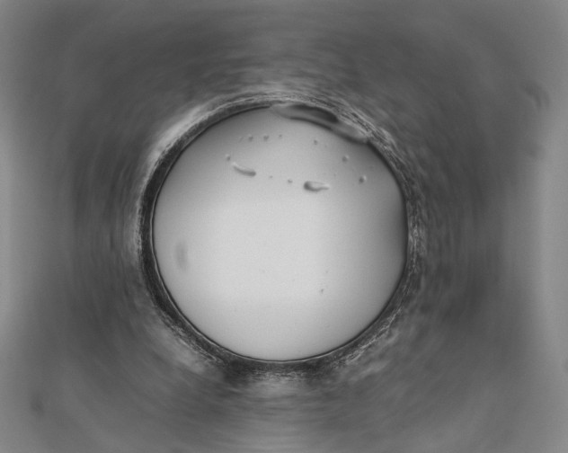 X0000112050248200908251005