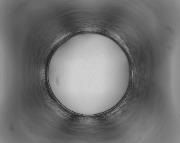 X0000112050249200908251005