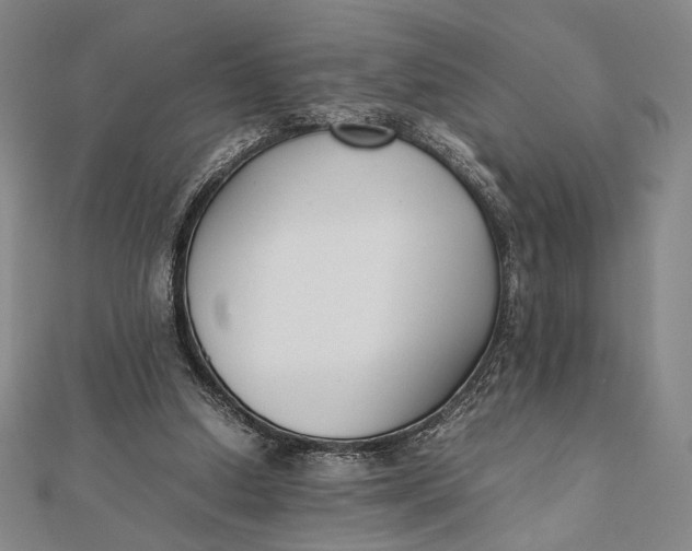 X0000112050250200908251005