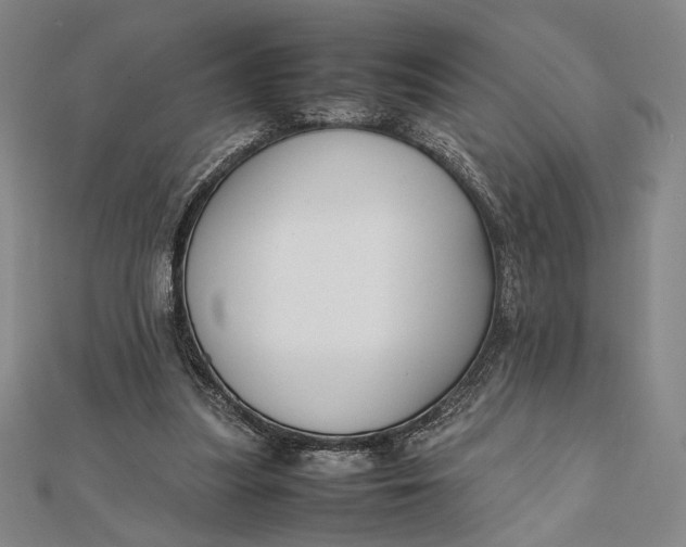 X0000112050251200908251005