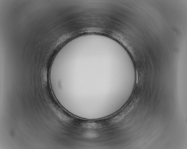 X0000112050253200908251005