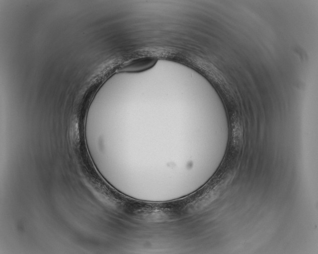 X0000112050254200908251005