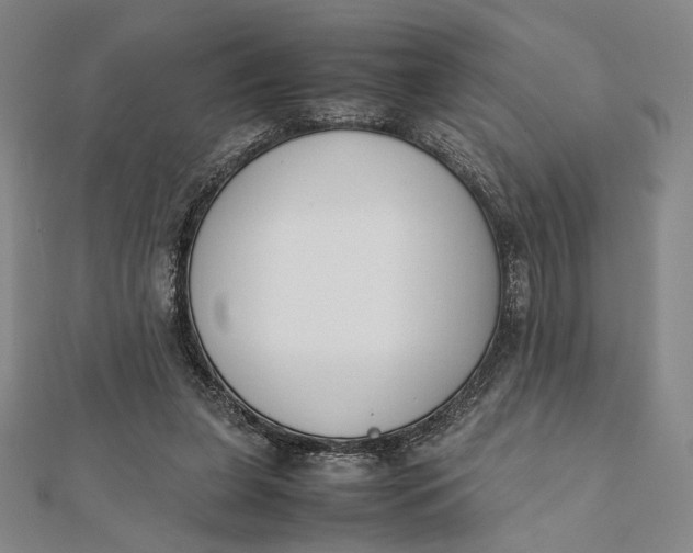 X0000112050255200908251005