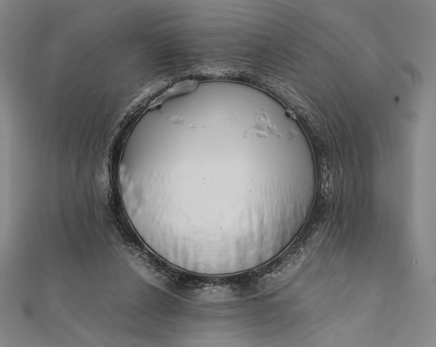 X0000112050256200908251005