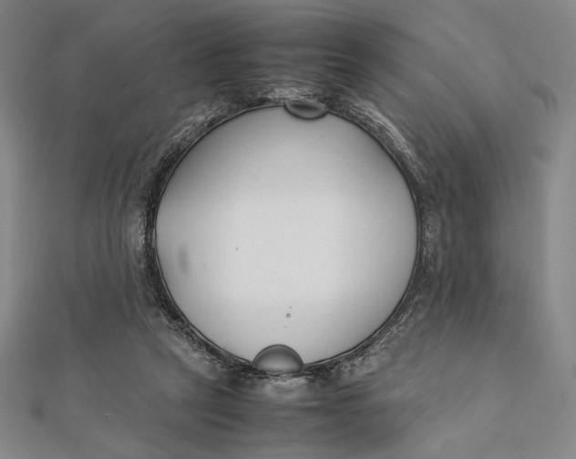 X0000112050257200908251005