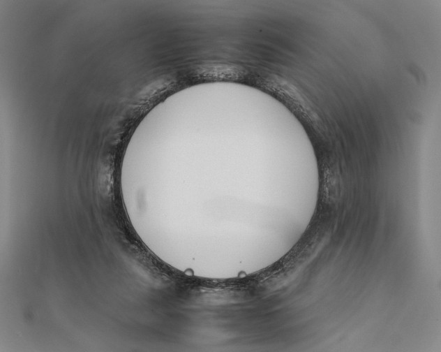 X0000112050259200908251005