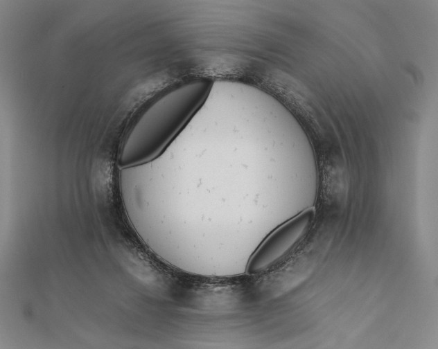 X0000112050260200908251005