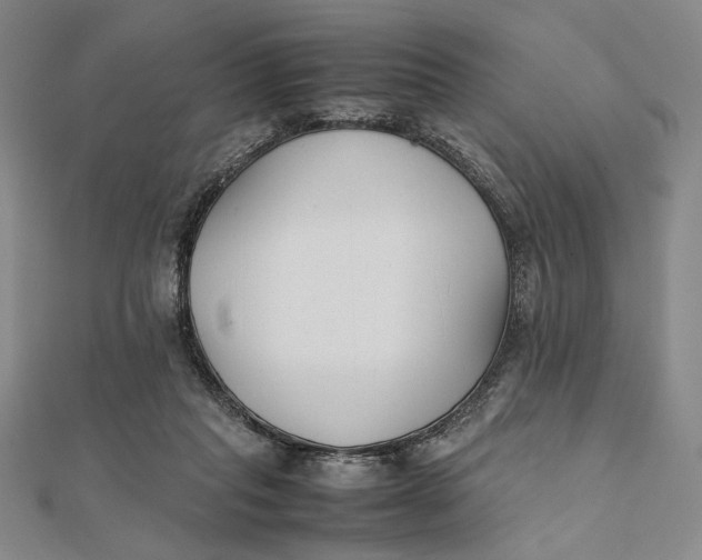 X0000112050261200908251005