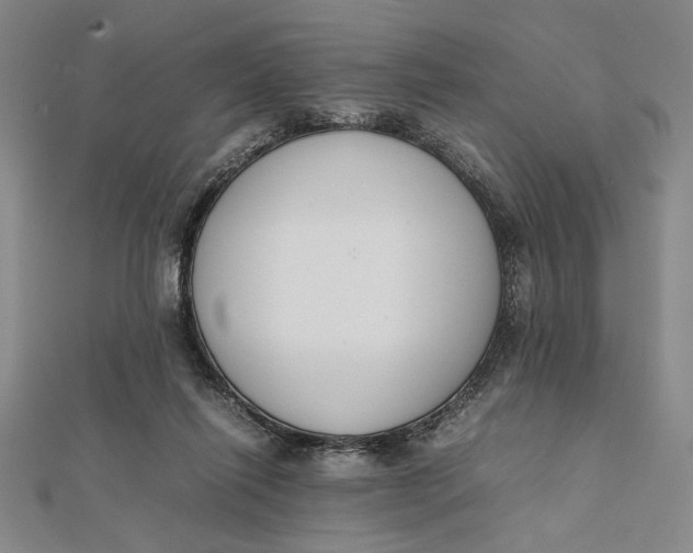 X0000112050262200908251005