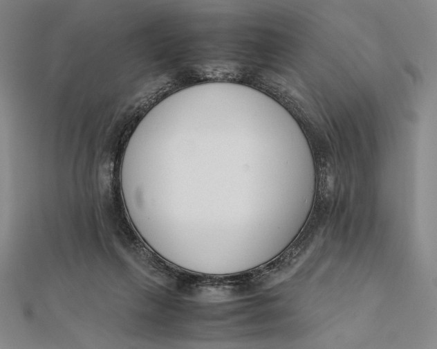 X0000112050263200908251005