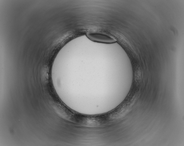 X0000112050264200908251005