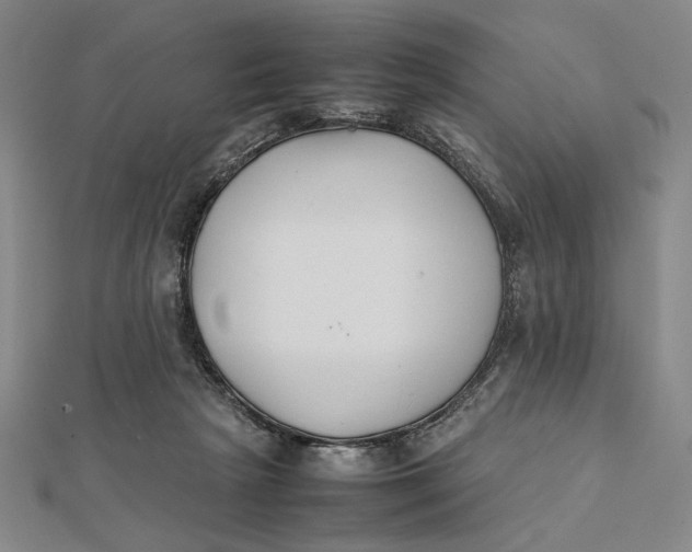 X0000112050265200908251005