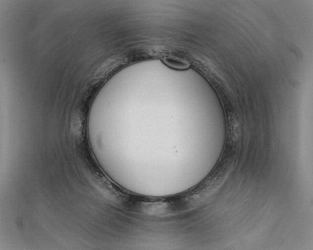 X0000112050266200908251005