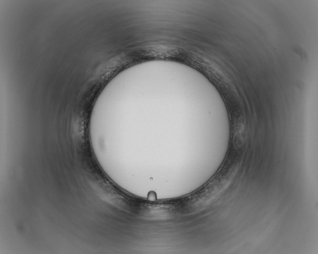 X0000112050268200908251005