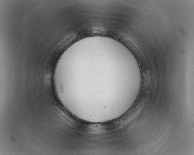 X0000112050269200908251005