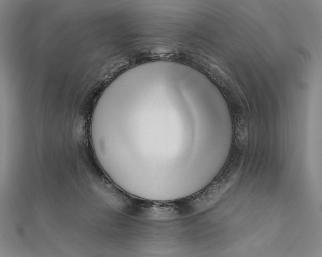 X0000112050270200908251005