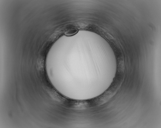 X0000112050274200908251005