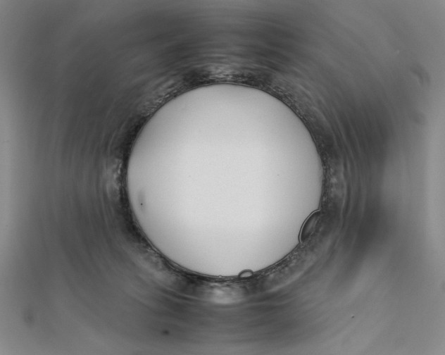 X0000112050275200908251005