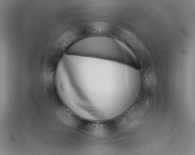 X0000112050276200908251005