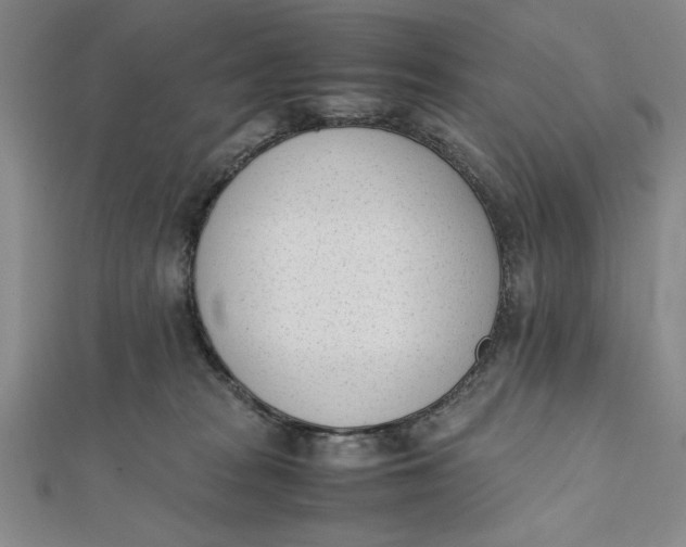 X0000112050277200908251005