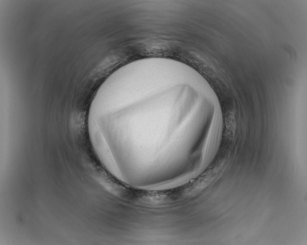 X0000112050278200908251005