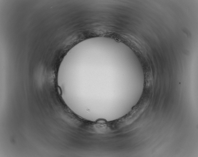 X0000112050279200908251005